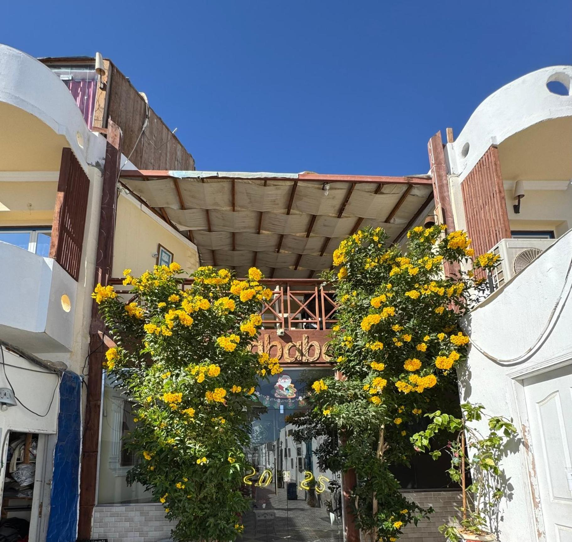 Sababa Hotel Νταχάμπ Εξωτερικό φωτογραφία